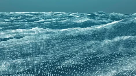 Government digitisation brings benefit and risk to citizens