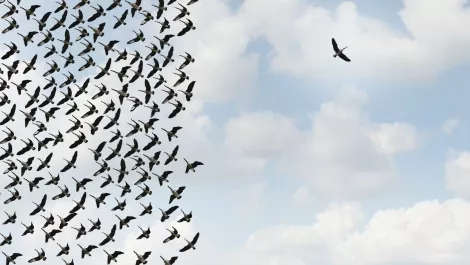Ingram Micro's Lenovo team changes the game and snubs one-size-fits-all model