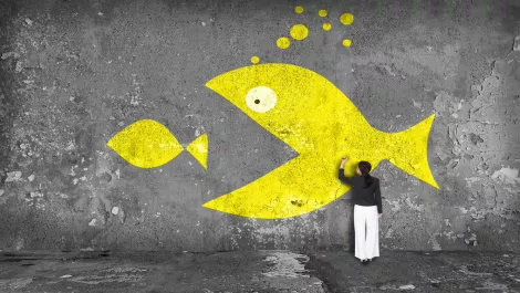 Microsoft ISV partners announce merger to bolster solution offerings