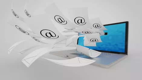 Kapiti Coast District Council sends spam to 'hundreds of people'