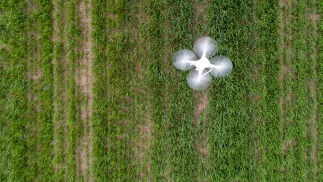 Robots and drones could battle disease-spreading bugs
