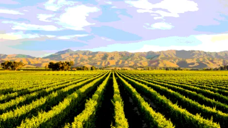 How IoT is helping NZ's largest industry
